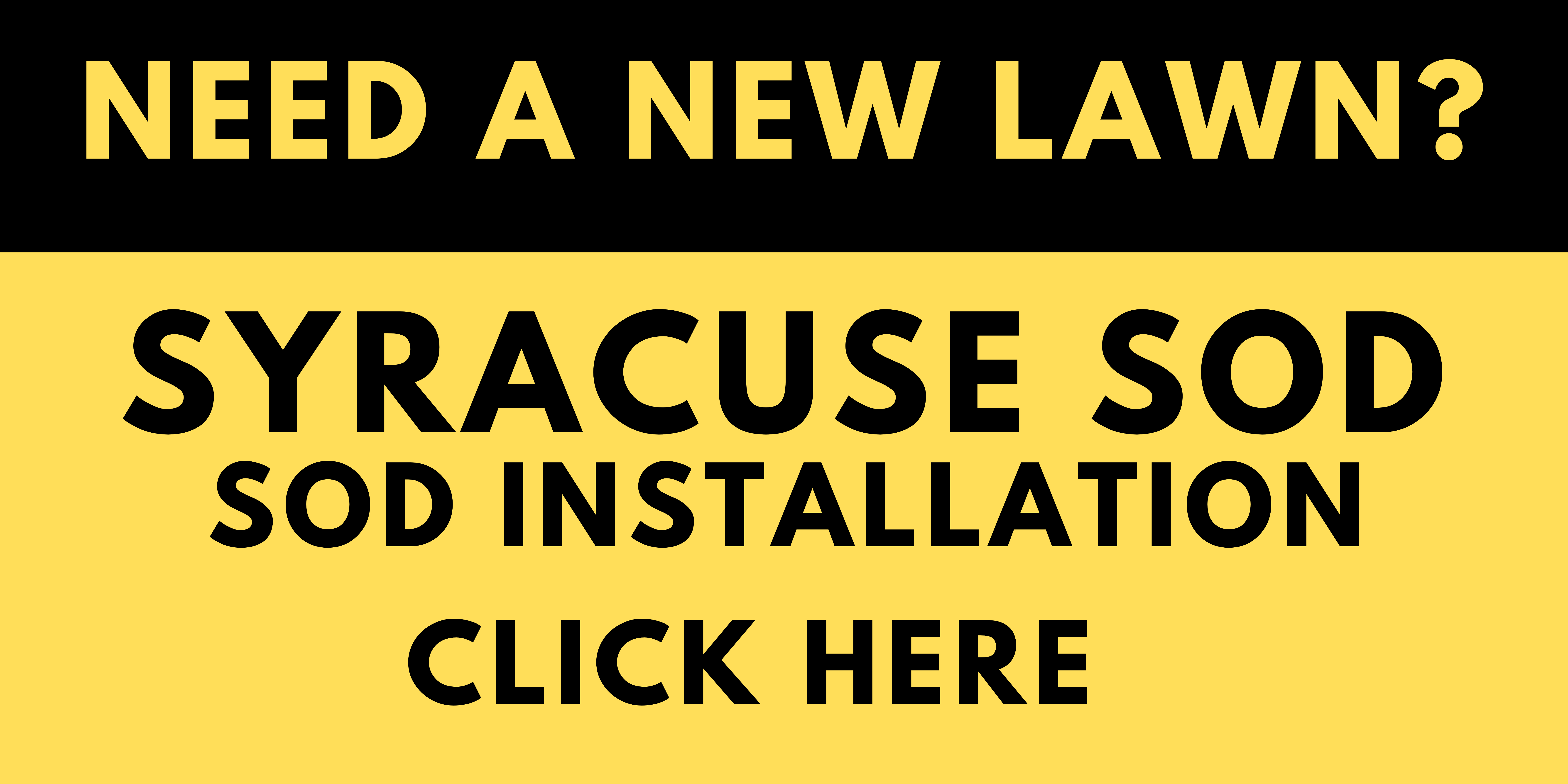 Syracuse Sod LLC